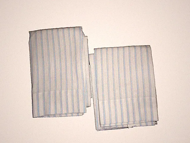 NAUTICA BLUE & TAN WHITE MODERN STRIPES (2) STANDARD PILLOWCASES 19 X 29